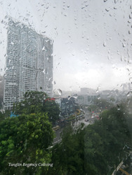 Tanglin Regency (D10), Condominium #445528411